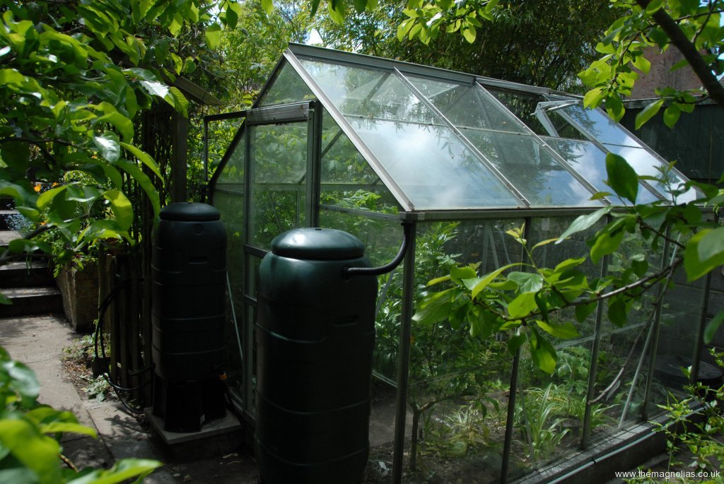 Failed Experiment! The Magnolias Garden site