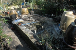 Pond dry and most plants removed