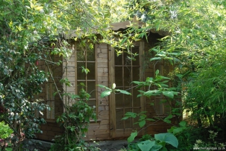 Shed Replacement