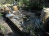 Pond dry and most plants removed