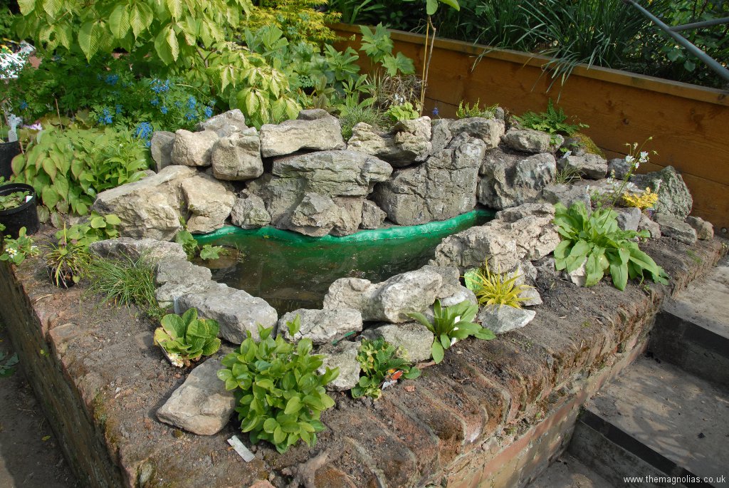 Little Rockery and Pool