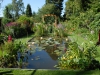 Looking North over the waterlily pond